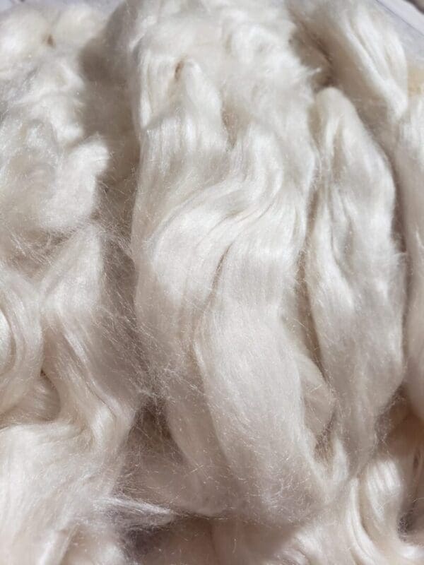 Tussah Silk Top ~ Bleached & Undyed