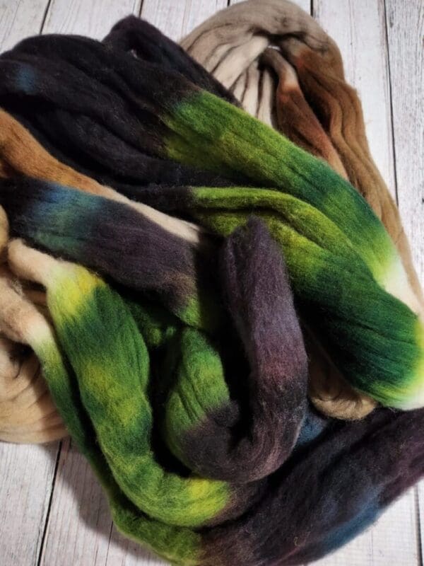 Leonardo ~ American Rambouillet Combed Top