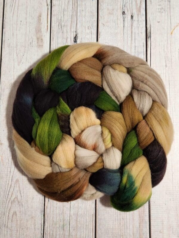 Leonardo ~ American Rambouillet Combed Top