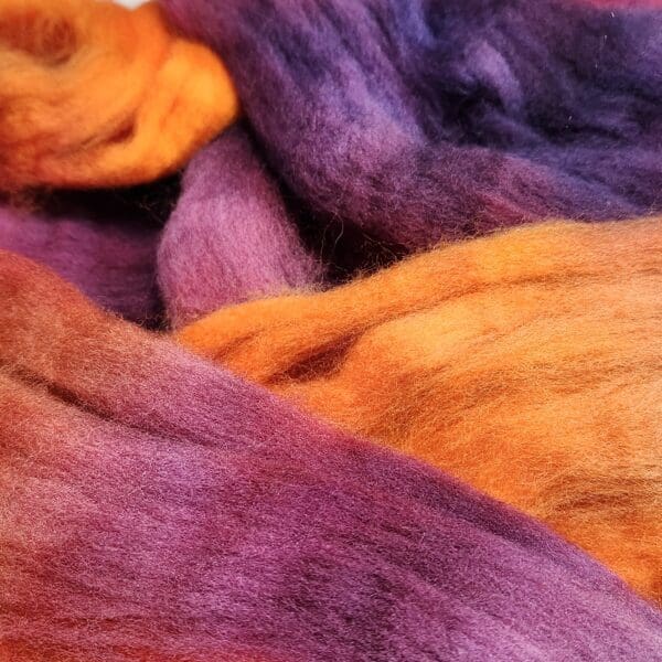 Spiced Fruit ~ 100g Hand-Dyed Luxury Combed Top Fiber - Image 4